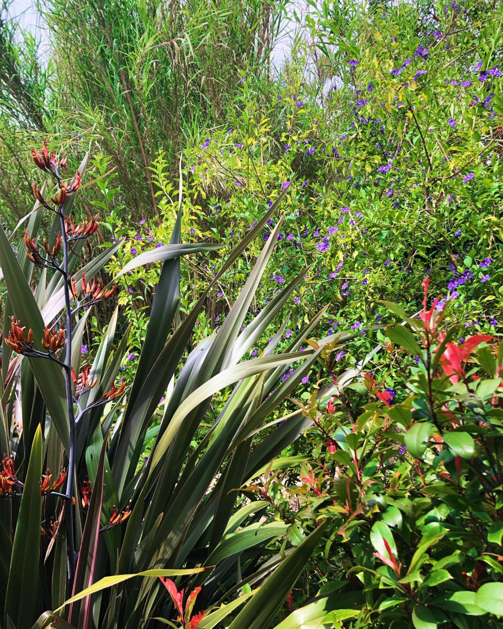 Le Jardin Des Portes Bed & Breakfast Les Portes-en-Re Bagian luar foto